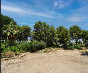 Terreny residencial a Pinar de Advocat-Cometa