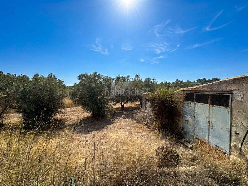 Foto cc85b3f1-c0ba-4fe0-ba13-762a74e1a4b0. Terreny residencial a Teulada