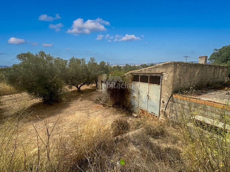 Foto fb5c9fb1-d795-4996-a422-47008a87e803. Terreny residencial a Teulada