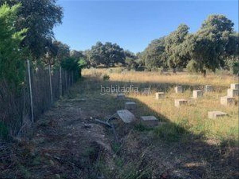 Foto 71c1c644-df5f-428a-a2e0-9ddfbc1c29b3. Terreny residencial a Maello