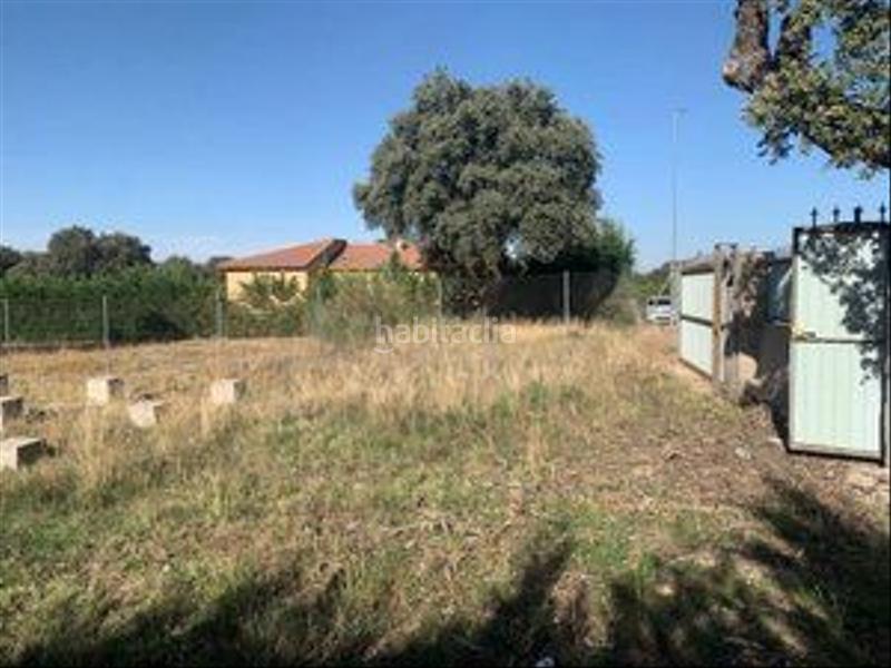 Foto f1e00b0c-0e71-4a1d-9e35-fd6a0c6b59f7. Terreny residencial a Maello