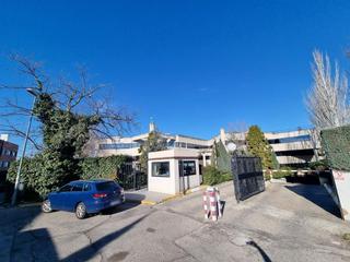 Oficina a El Pinar-Punta Galea