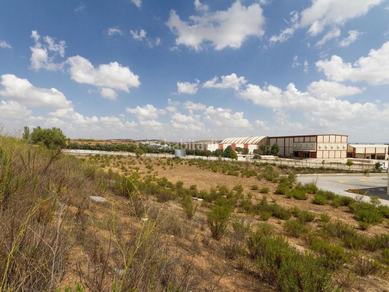 Foto f6185116-94b1-4ea0-9d9d-9ebb5c5a7da9. Terrain résidentiel dans Daganzo de Arriba