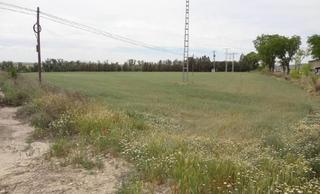 Rural plot in Fuentidueña de Tajo. Estupendo suelo