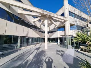 Office space in El Pinar-Punta Galea