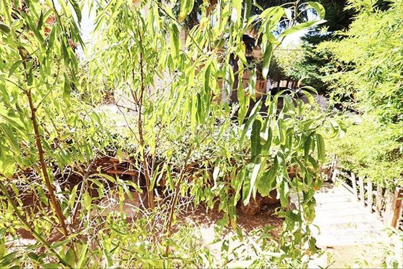 Foto 47c37d3d-42c3-4c3b-88c0-85dd6bdf4460. Casa gran chalet independiente en Collado Mediano