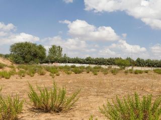 Terreno residencial en Daganzo de Arriba. Estupendo suelo