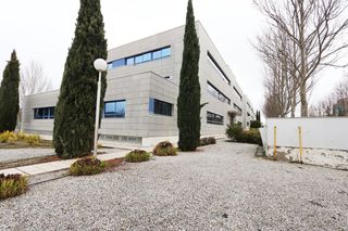 Local Comercial en El Pinar-Punta Galea. Gran oficina