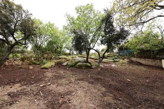 Terreny residencial a Colmenarejo