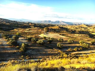 Wohngrundstück  Cabezo de la plata, cañadas de san pedro