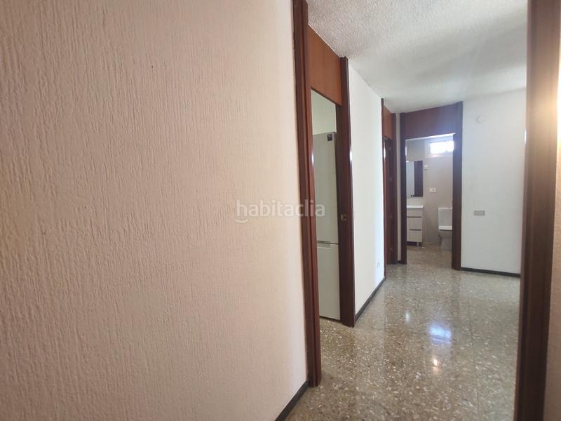 Foto 1e1354bd-8f96-427d-ba19-8e23d3cca9f1. Rent flat in Mercado Alicante