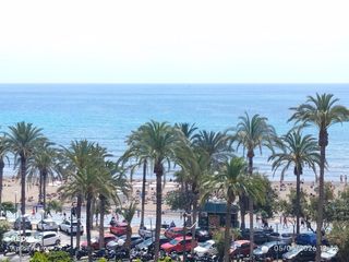 Alquiler Piso en Casco Antiguo - Sta. Cruz - Ayuntamiento. Se alquila piso vacío frente al mar