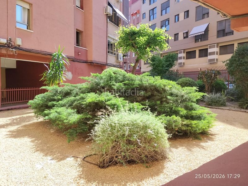 Foto 6f9de4c8-7d9c-45b4-a763-9c624a6c5e99. Pis a Carolinas Altas Alicante