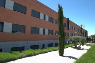 Lloguer Estudi a Pollensa 5