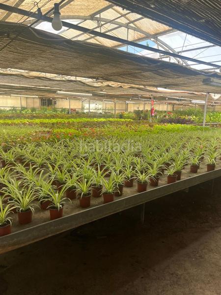 Foto 338a3859-2eb7-4eed-b0cb-4f1521beb2fa. Capannone industriale in Reyes Católicos Alcalá de Henares