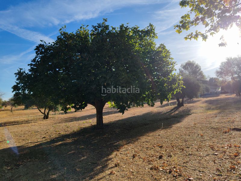 Foto ff696ad4-1159-413c-bbeb-9b7839c6746c. Finca rústica a Villalbilla pueblo Villalbilla