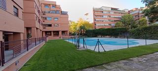 Pis en Norte