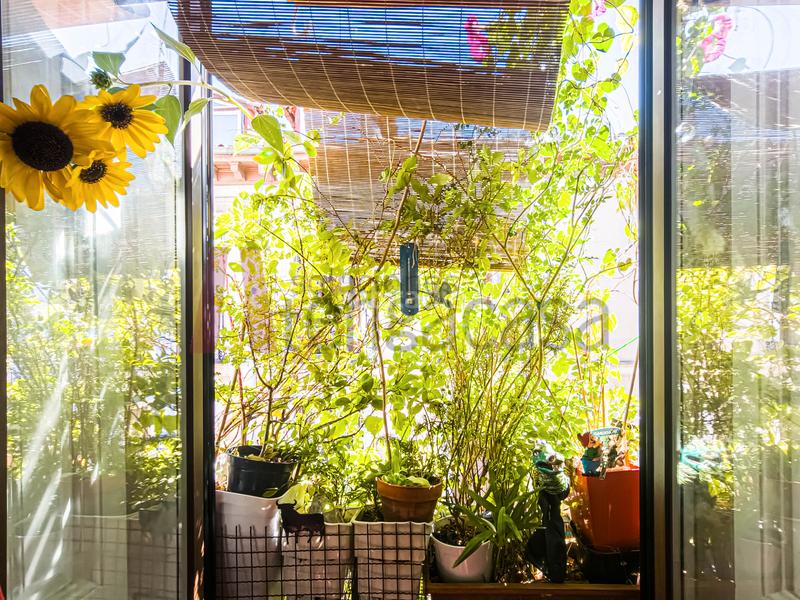 Foto 053c0afd-c9c5-4749-bc68-cd1b6bef489e. Appartement avec chauffage dans Universidad-Malasaña Madrid