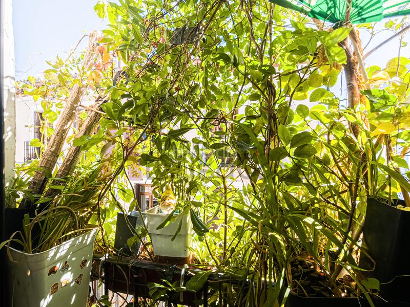 Foto 381cd34e-21dc-46c2-b08e-b3d6165d78a5. Appartement avec chauffage dans Universidad-Malasaña Madrid