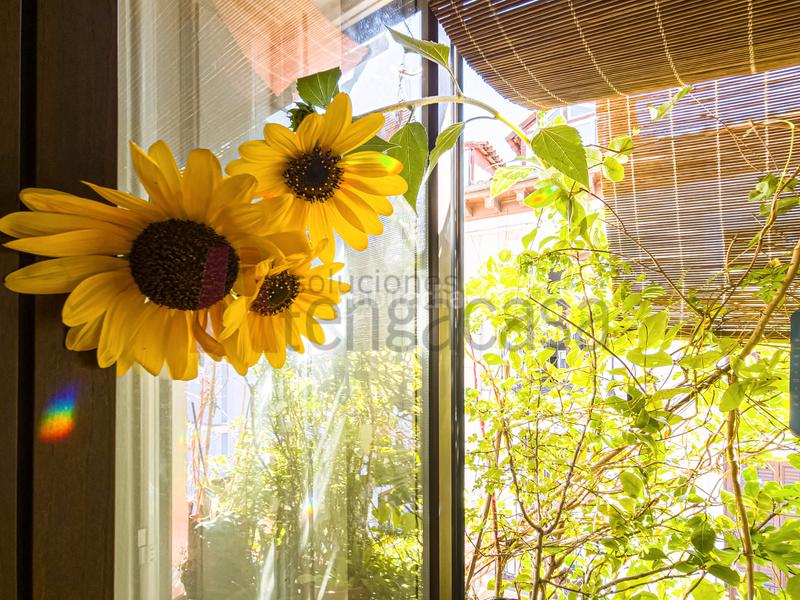 Foto 5dbcf24d-2549-4a27-8de8-ee2edf7560aa. Appartement avec chauffage dans Universidad-Malasaña Madrid