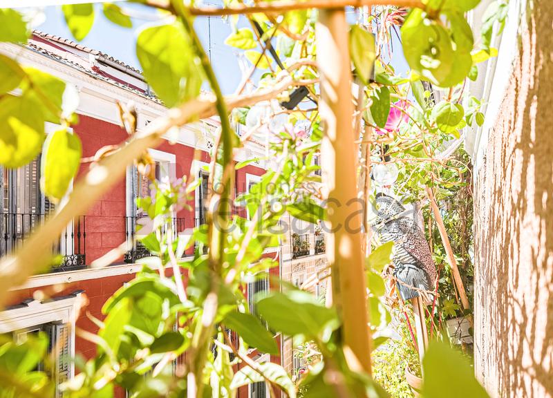 Foto 7e37f0ca-432d-457f-86b1-02294ef7c4ec. Appartement avec chauffage dans Universidad-Malasaña Madrid