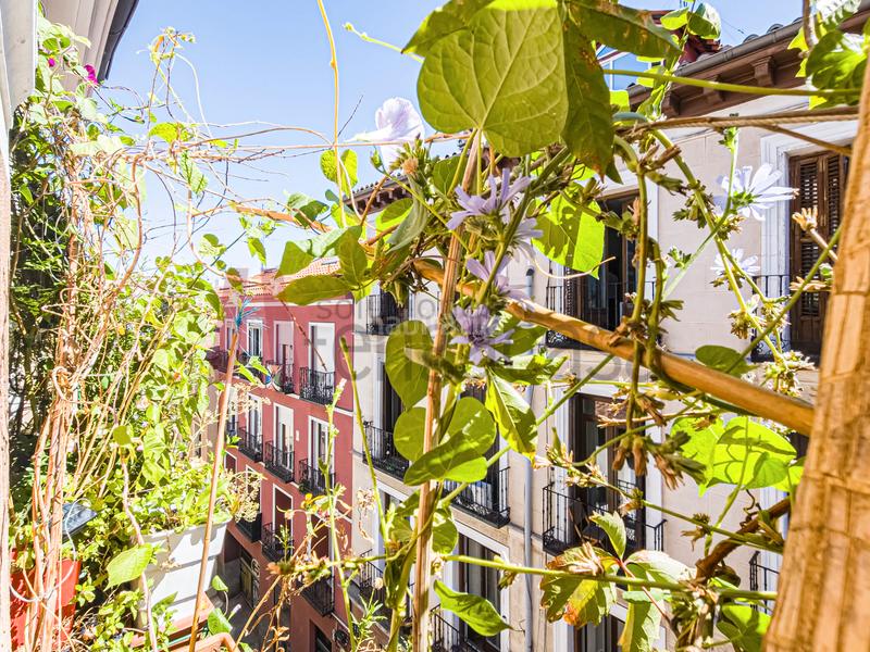 Foto bd905695-6f76-4dc4-91f2-2fa4b2b32cab. Appartement avec chauffage dans Universidad-Malasaña Madrid