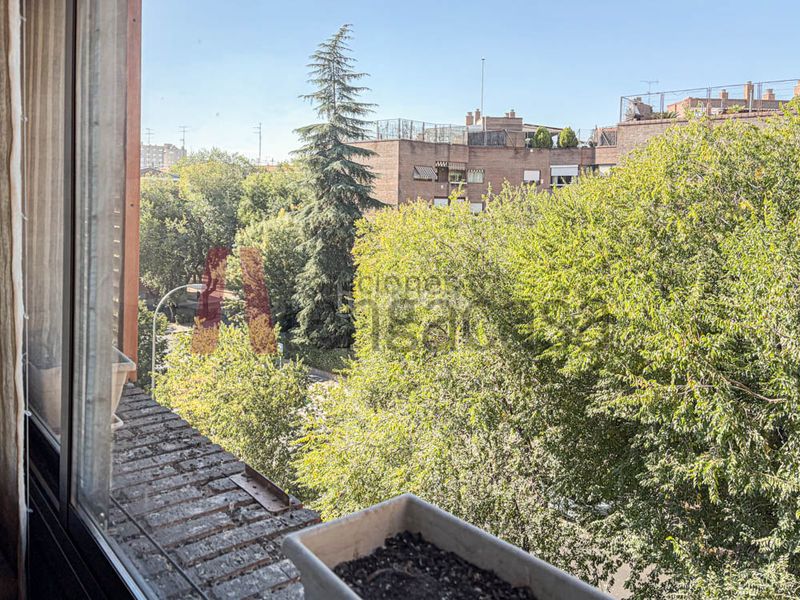 Piso exclusiva vivienda de lujo en arturo soria con piscina y dos plazas de garaje incluidas en el precio en Madrid - Imagen 12