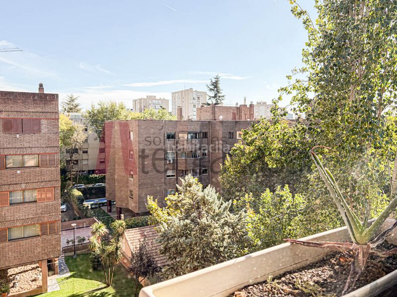 Piso exclusiva vivienda de lujo en arturo soria con piscina y dos plazas de garaje incluidas en el precio en Madrid - Imagen 15