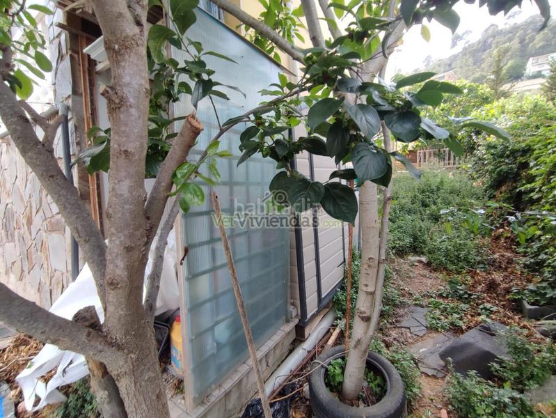 Foto ddc2c3a7-5471-4708-9223-176b8b5bf879. Casa a carrer major 333 a Vallirana