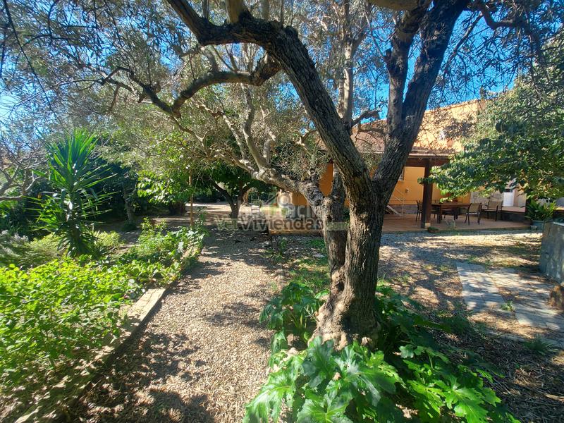 Foto 044735a9-6a20-4460-b764-b73caf2e40e0. Maison dans carrer girona 742 dans Masquefa