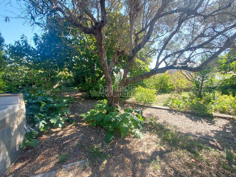 Foto e07d5616-1049-4744-a817-db2cf6fb0390. Maison dans carrer girona 742 dans Masquefa