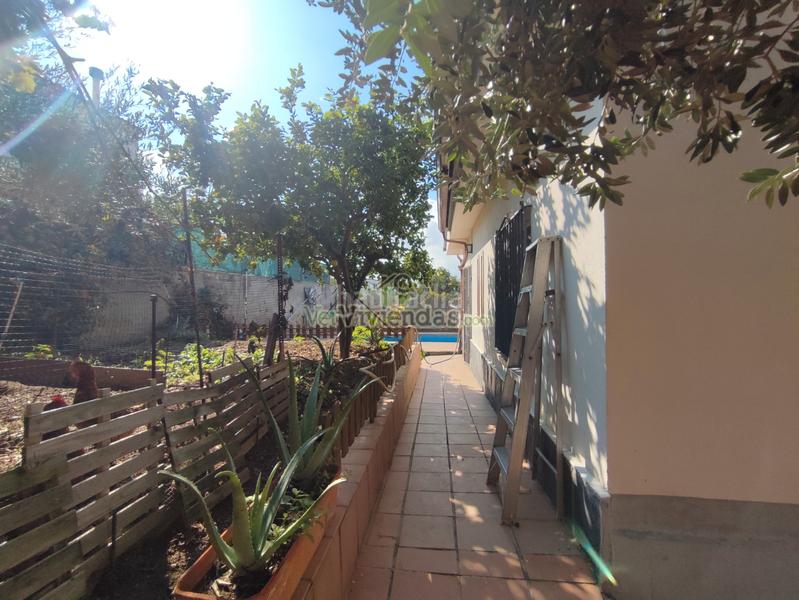 Foto 7c1e0277-86ea-4b26-b67d-5e44c43f2e17. Maison dans carrer baix llobregat 30 dans Abrera