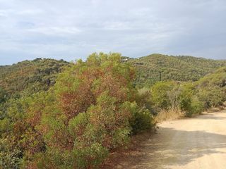 Terreno residenziale in Sant Cebrià de Vallalta
