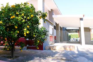 Haus in Bisbal del Penedès (La)