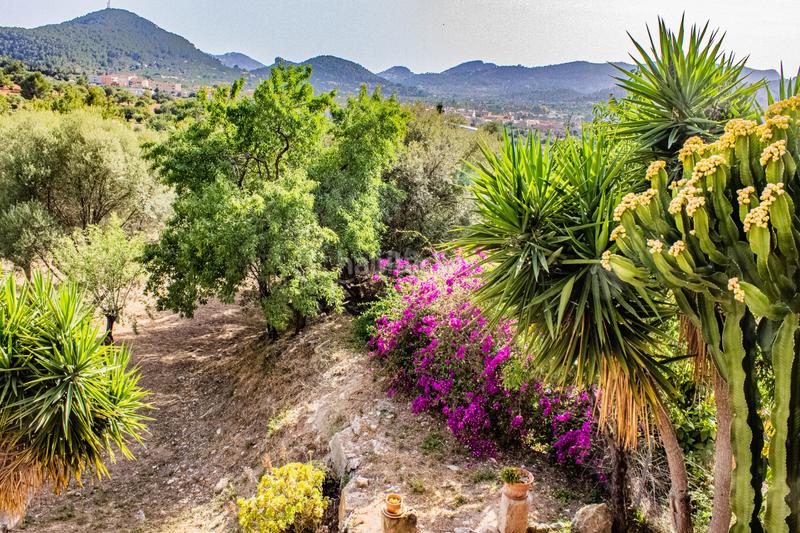 Foto e942adda-e653-4614-b1a3-debcb3b0eeae. Casa con riscaldamento parcheggio in Andratx Andratx