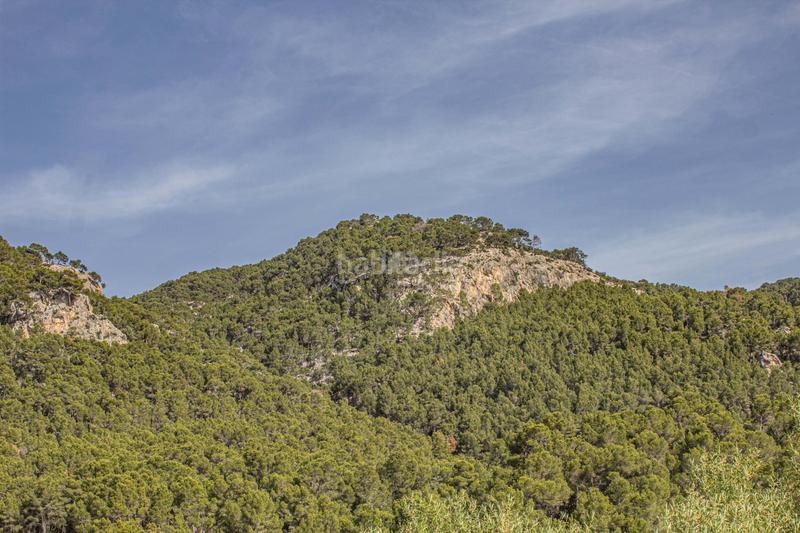 Foto f17eafb1-a969-4b35-89ad-7638b7a20c89. Casa amb calefacció aparcament a Andratx Andratx
