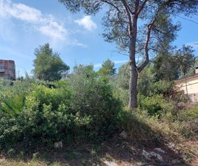 Residential Plot in Canyelles