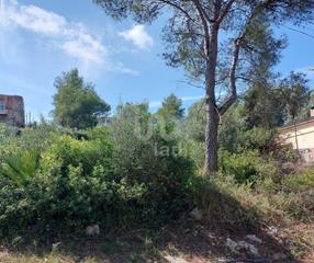 Terreno residencial en Canyelles