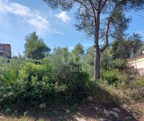 Residential Plot in Canyelles