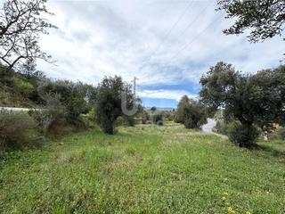 Terreny residencial a Carretera calle  sant miquel 2 2