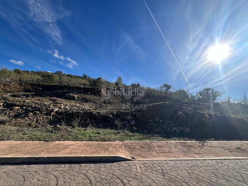 Foto 0a81aadf-aa79-4a20-be97-64d3576e2648. Terreny residencial a camino poligono 7 parcela 16 16 16 a Casabermeja