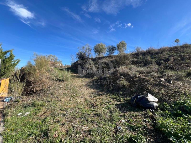 Foto 95d17a32-2957-441d-a22d-c796313efa71. Terreny residencial a camino poligono 7 parcela 16 16 16 a Casabermeja