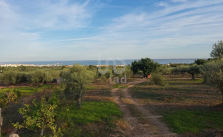 Terreny residencial a Alcanar