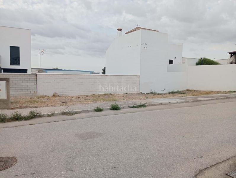 Foto 01e9cc96-5645-4666-94ba-dbdc01cfc494. Terreno residenziale in Écija