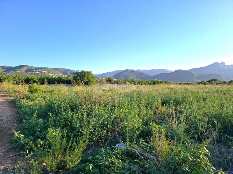 Foto 2c01affe-fd44-47a7-b6e1-fb152665b9e6. Terreno residenziale in Orba