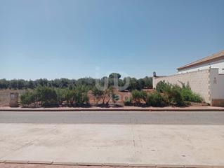 Terreny residencial a Avenida andalucia 0 0