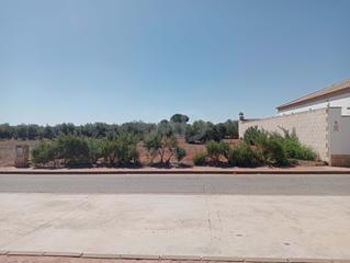 Residential Plot in Avenida andalucia 0 0