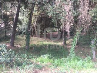 Terreny residencial a Cànoves i Samalús