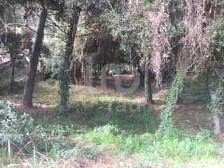 Residential Plot in Cànoves i Samalús