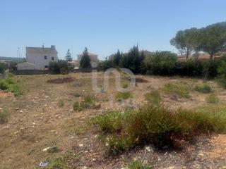 Terreny residencial a Santa Oliva